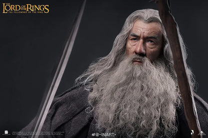 Lord of The Rings® Gandalf